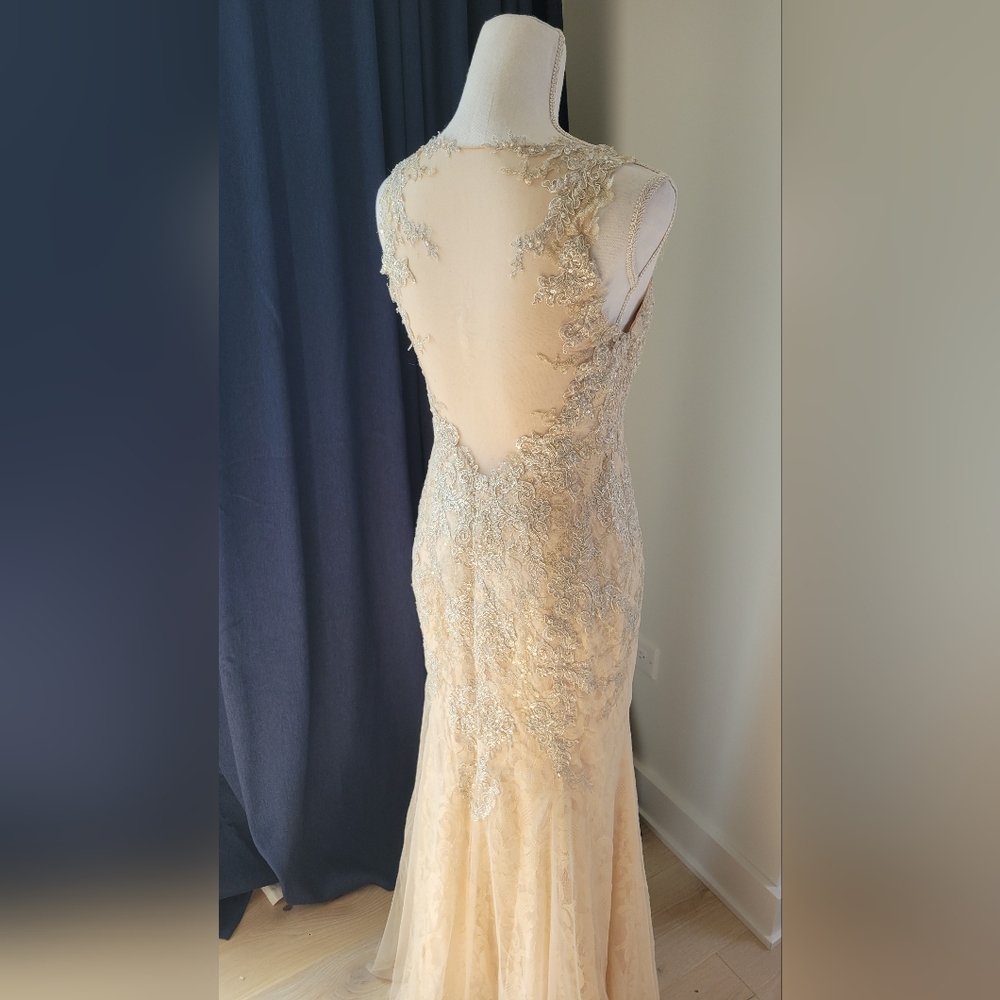 DAVIDS BRIDAL | Champagne Lace Beaded Dress - Picture 8 of 16
